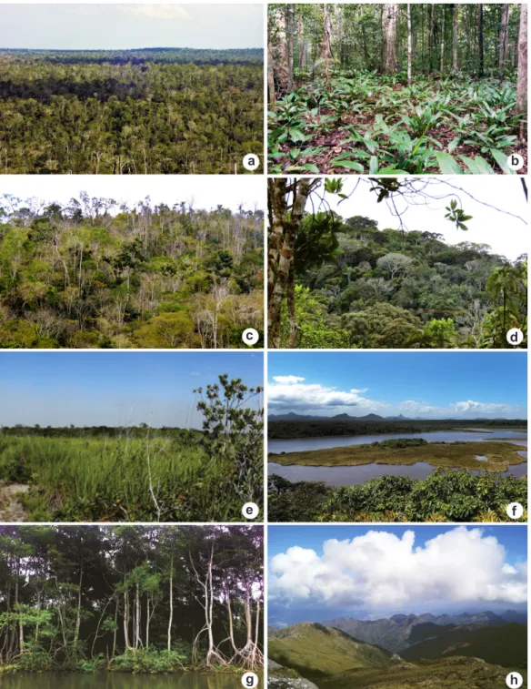 Figura 2 – Diferentes tipos de vegetação encontrados no estado do Espírito Santo – a. vista aérea da floresta sobre tabuleiro,  na Reserva Biológica de Sooretama; b