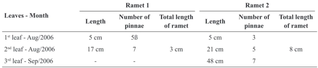 Table 1 – Number of leaves and pinnae per ramet formed in a population of  Danaea nodosa  situated in the Central- Central-West region of Brazil.