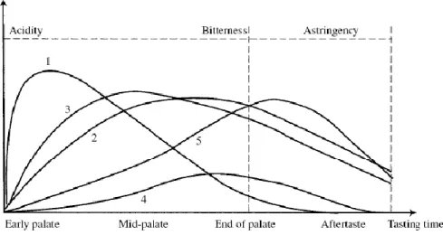 Figura  1  –  Influência  da  estrutura  dos  compostos  fenólicos  na  diversidade  das  suas  características  organoléticas:  1