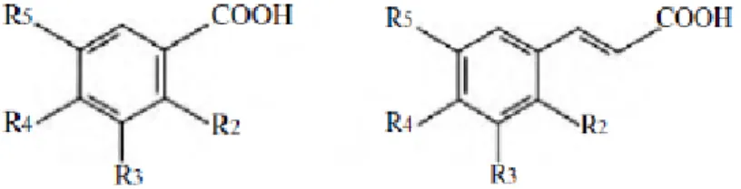 Figura 3 – Estrutura química do ácido benzóico e do ácido cinâmico (Cabrita, 2004). 