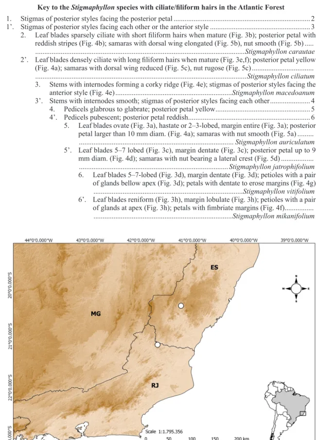Figure 2 – Distribution map of Stigmaphyllon carautae in Southeastern Brazil.