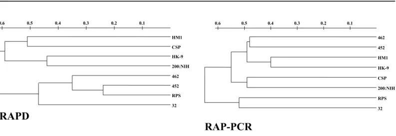 Fig. 3 - Phylogenetic tree of E. histolytica strains derived from RAPD (A) and RAP-PCR (B) data