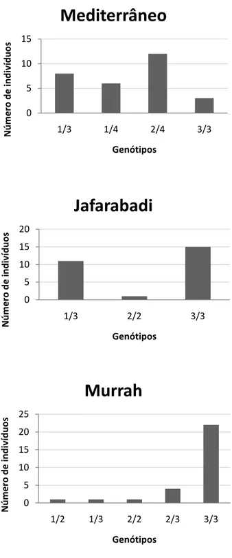 Figura 7. Número de indivíduos e genótipos encontrados no loco CSSM054 nas  raças Mediterrâneo, Jafarabadi e Murrah