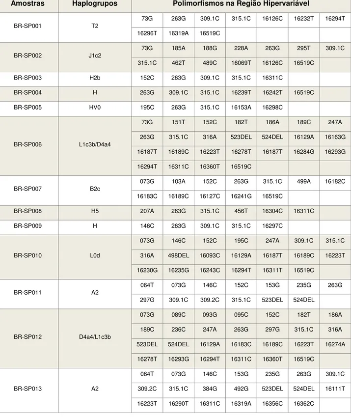 TABELA 5 - CONJUNTO DE HAPLÓTIPOS E CLASSIFICAÇÃO EM HAPLOGRUPOS  Amostras  Haplogrupos  Polimorfismos na Região Hipervariável 