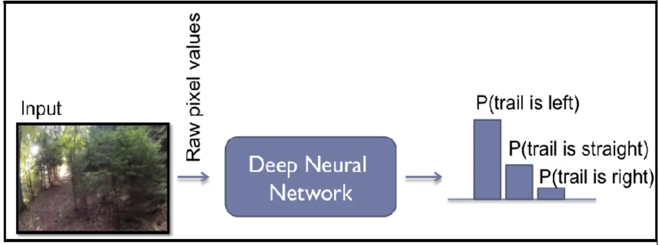 Figure 2 – Simplified view of the forest trail classification system.