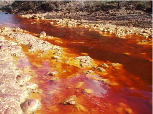 Figure 1.1: Rio Tinto in Spain, where acid rock drainage occurs for centuries [13]. 