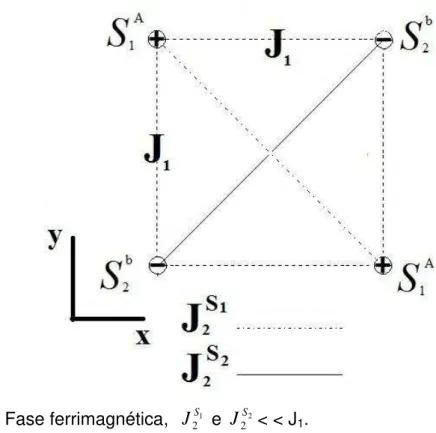 Figura 3.2: Fase ferrimagnética,   J 2 S 1 e  J 2 S 2 &lt; &lt; J 1 . 