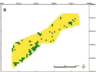 FIGURA 5 -  Mapas de risco de ocorrência da Sigatoka-negra para  o bananal em estudo em Jacupiranga (SP) em diferentes épocas  no ano de 2005: A