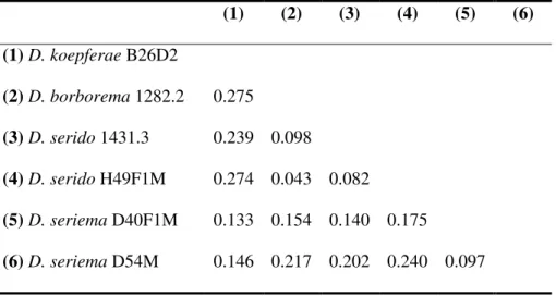 Tabela  4.  Distâncias  estimadas  pelo  método  de  Kimura  dois-parâmetros  entre  as  seqüências ITS-1 das linhagens analisadas do cluster buzzatii  