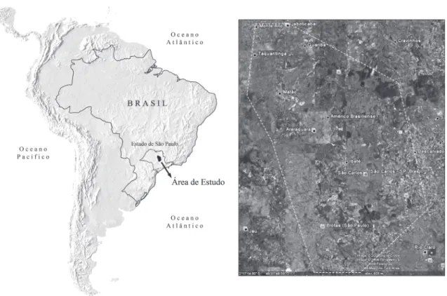 Figura 1 – Localização dos 40 principais pontos de coleta distribuídos entre os 23 municípios visitados do estado de São Paulo, Brasil.