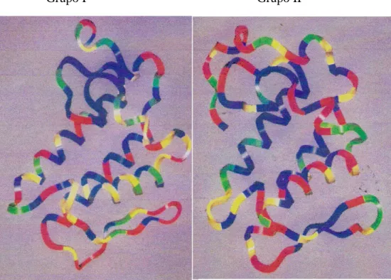 Figura  2.  Freqüência  de  mutação  de  resíduos  nas  sPLA 2   dos  Grupos  I  e  II  em  serpentes:  vermelho:  60-80%  (“hot  spots”);  amarelo:  40-60%,  verde:  20-40%,  azul:  0-20%  (Kini  &amp;  Chan, 1999)