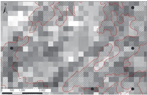 Fig. 4. MODIS image showing the effect of pixels (250m) in the edge of polygons 