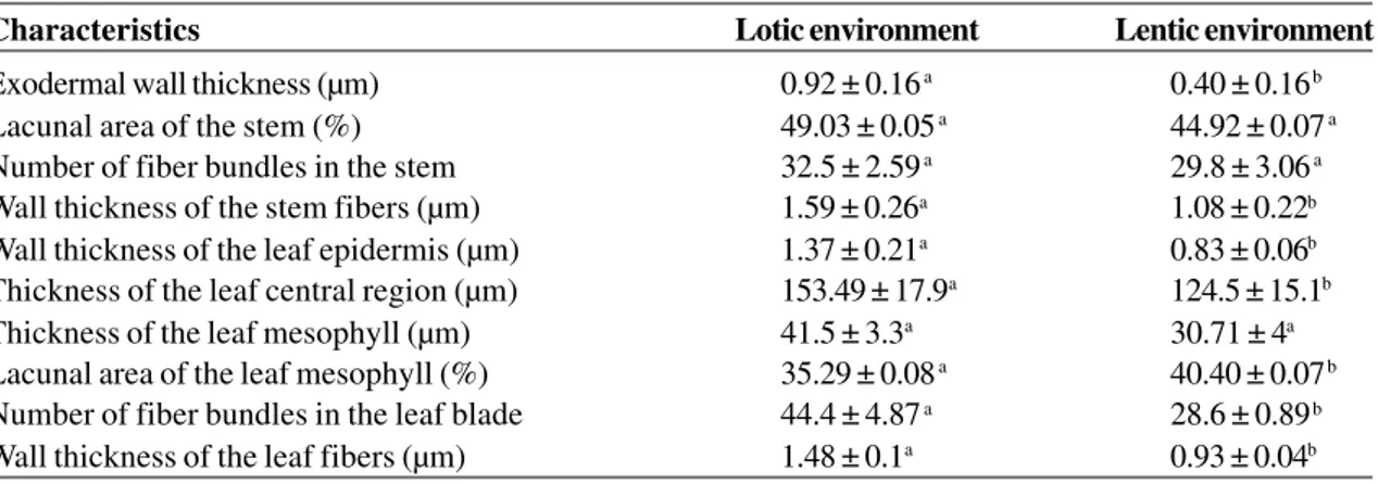 Table 3 – Morphological characteristics of Potamogeton polygonus root, stem and leaf in lotic and lentic environments.