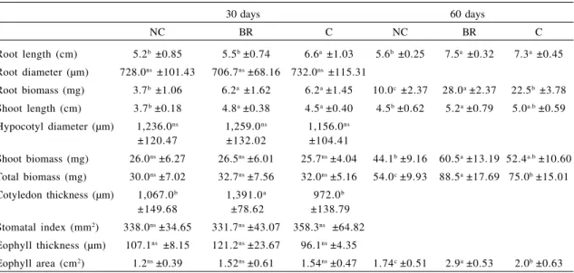 Table 3 – Quantitative analyses of Allophylus edulis in non-contaminated soil (NC), bioremediated soil (BR) and petroleum-contaminated soil (C) 30 and 60 days after sowing