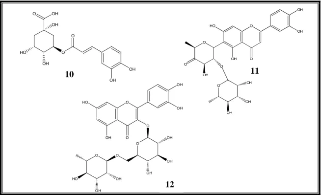 FIGURA 05 – Estruturas de warburganal (13), muzigadial (14) e azadiractina (15) 