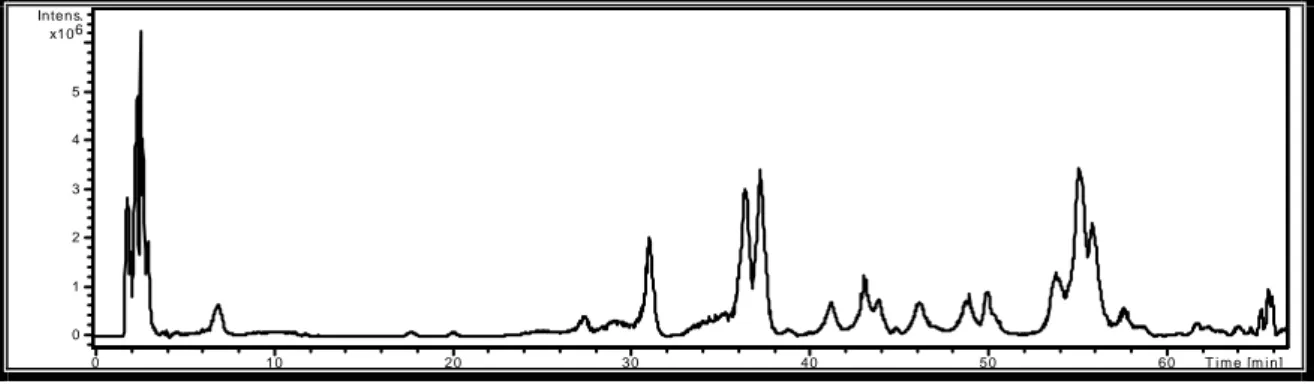 FIGURA 17 – Espectro de massas do tempo de retenção 17,8 min de Y01-EN1-12 