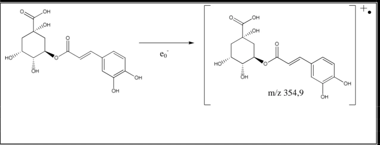 FIGURA 20 - Proposta para o mecanismo de fragmentação do ácido clorogênico.  Obtenção do íon molecular