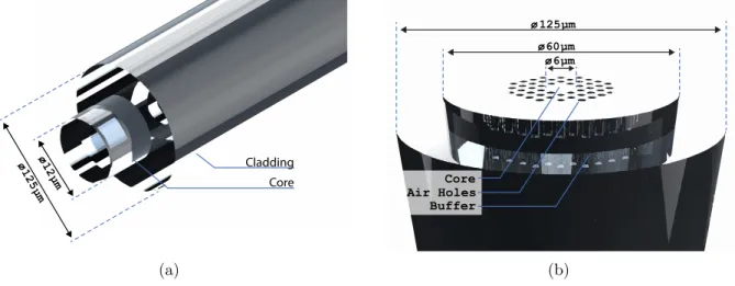 Figure 1.1: Rendering of a single mode fibre (a) and (b) a microstructured fibre with a core surrounded by air holes which act as modified form of total internal reflection