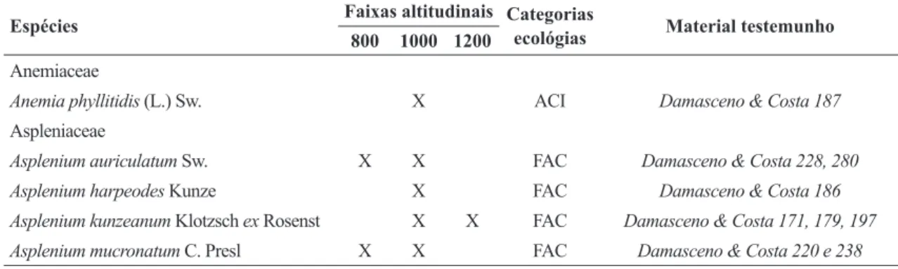 Tabela 1 – Famílias e espécies de samambaias e licófitas epifíticas inventariadas em um trecho de Floresta Ombrófila  Densa Montana do Parque Nacional do Itatiaia