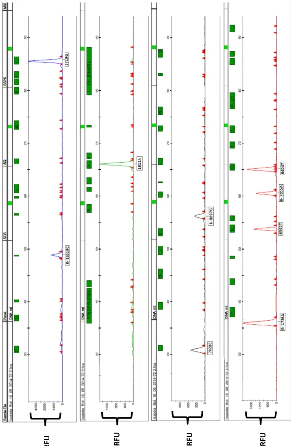 Figura 8: Multiplex II - Eletroferograma com o perfil genético da mesma  amostra utilizada na figura anterior para os 9 SNPs do DNAmt