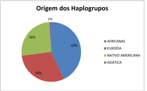 Figura 9: Classificação das amostras da população do Espírito Santo  conforme a origem dos haplogrupos