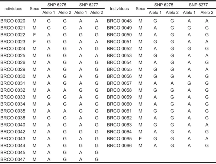 Tabela 06. Alelos obtidos pela genotipagem dos grupos amostral e controle(continuação)