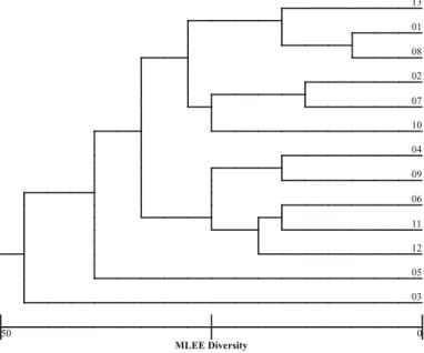 Fig. 1 - Patterns of adherence to HeLa cells shown by urinary Escherichia coli isolates: (a) HeLa cells cultivated in the absence of bacterial cells; (b) Arrows point to negative adhesion bacteria; (c) diffuse adherence; (d) localized adherence; (e) entero