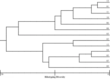 Fig. 7 - Genetic distance of urinary Escherichia coli isolates based on ERIC-PCR analysis.