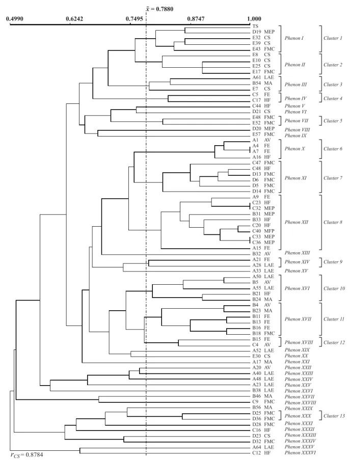 Fig. 2 - UPGMA dendrogram showing the similarity among C. albicans strains isolated from healthy students’ oral cavities from five socioeconomic categories, based on their protein profiles obtained by SDS-PAGE.