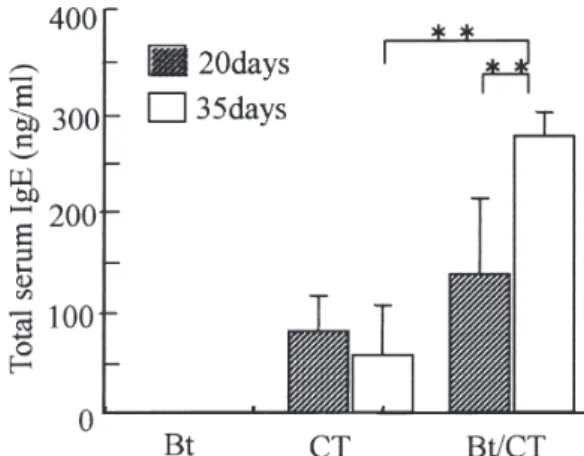 Fig. 5 - Total serum IgE in mice inoculated with Bt antigen with or without co-administration of cholera toxin (CT)