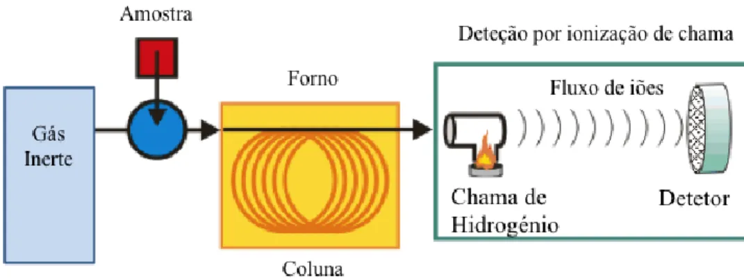 Figura 12 - Esquema do cromatografo de gás com detetor por ionização de chama (GC-FID)