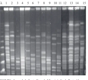 Fig. 1 - PFGE profiles of SmaI-digested chromosomal DNA of HLR-Ge E. faecalis isolates, obtained from patients in five hospitals in the city of Porto Alegre, Brazil