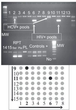 Fig. 1 - Validation of multiplex NAT for genotypic coverage with a panel containing HIV subtypes A-H (group M), and groups N and O.