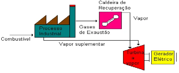 Figura 2.1.- Cogeração com turbinas a vapor (ciclo bottoming) 