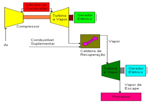 Figura 2.5.- Cogeração com turbinas a gás em ciclo combinado