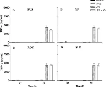 Fig.  2  -  Production  of  TNF-α  by  BUSV, YFV,  ROCV  and  SLEV  infected  peritoneal  macrophages