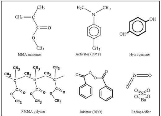 Figure 3 illustrates the chemical structure of the main components of an acrylic cement