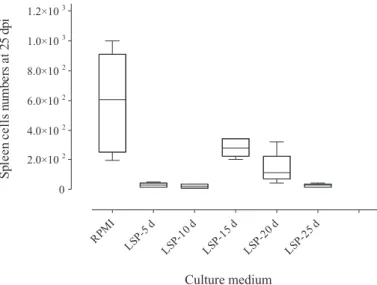 Fig. 1 - Box and whisker plots representing the numbers of spleen cells from mice at 25  days post-infection (dpi) by Dermatobia hominis submitted to RPMI and  larval-secretory-product (LSP).