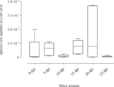 Fig. 5 - Box and whisker plots representing the numbers of spleen cells from mice at days  post-infection (dpi) by Dermatobia hominis submitted to larval-secretory-product (LSP) at  15 days (by Kruskal-Wallis test).