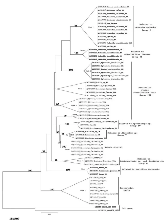 Fig. 1 - Maximum likelihood (ML) phylogenetic tree, reconstructed with MEGA 4.0 software and a Neighbor-Joining (NJ) algorithm with a heuristic search