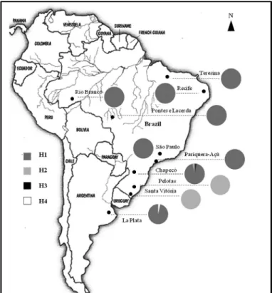 Fig. 1 - Map of South America with mosquito collection sites and distribution of four cox1  haplotypes in Brazil and Argentina.
