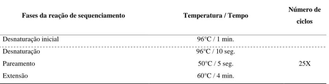 Tabela 6. Programa utilizado para a reação de termociclagem. 