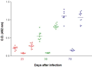 Table 2 shows that 70 days after the start of the experiment no  significant difference was observed with respect to the lethality in mice  in the three groups (isolated infections with T