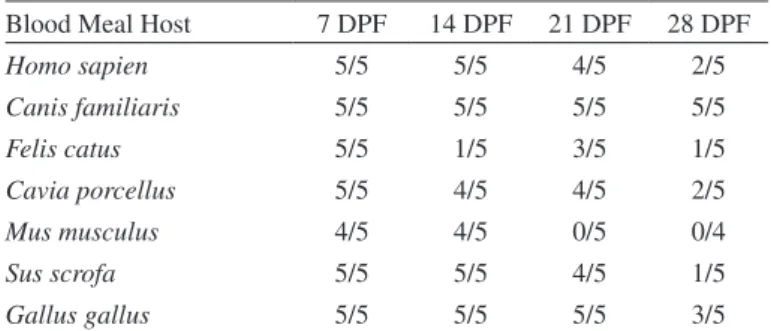 Fig. 1 - Detection limits of the six PCR amplification protocols. L: 100 base pair ladder,  products were electrophoresed in 2% agarose gels.