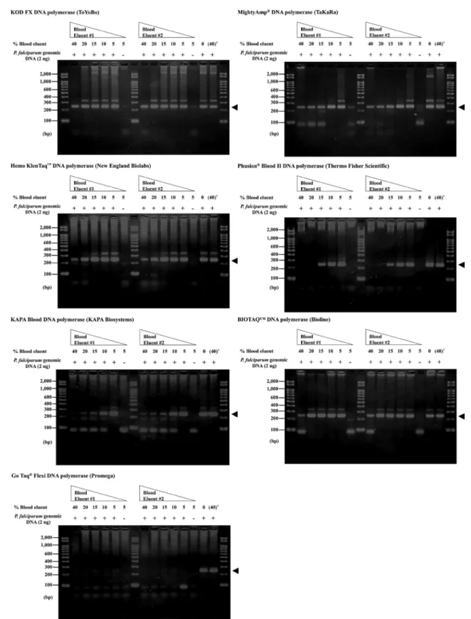 Fig. 1 - Analysis of the PCR performance of six commercially-available direct PCR-type DNA polymerases in the presence of 5-40% blood components in the reaction mixture