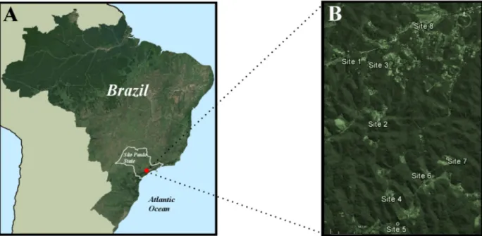 Fig. 1 - A. Location of the County (Municipality) of Juquitiba, São Paulo State, Brazil