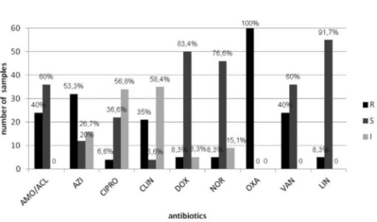 Fig. 2 - Profile of the sensitivity from the 60 samples isolated from aerial environment at the  dental care clinic to antibiotics commonly utilized for treating S