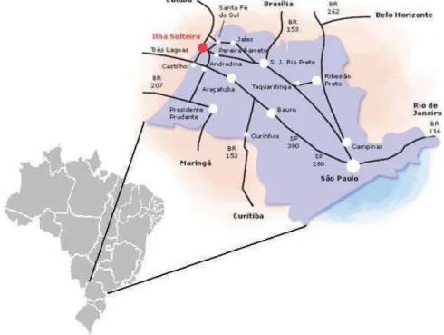 Figura 07 – Localização geográfica da cidade de Ilha Solteira – SP 