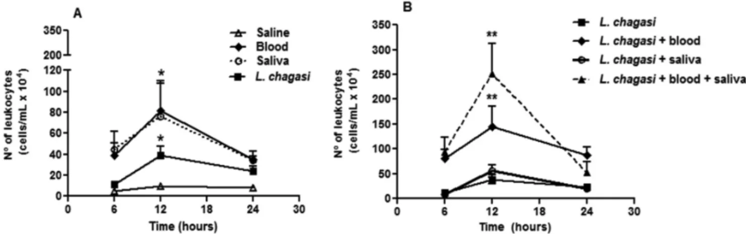 Fig. 1 - Number of leukocytes accumulating in air pouch exudate in response to (A) L. chagasi, blood, or Lu