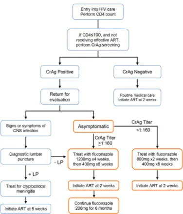Fig. 3 - A proposal of an algorithm for clinical implementation of cryptococcal antigen  screening and targeted preemptive therapy for the prevention of cryptococcal meningitis
